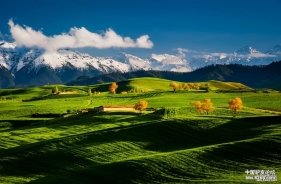 雪山与农田的交融-----行摄新疆田园部分
