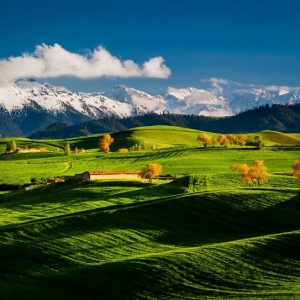 雪山与农田的交融-----行摄新疆田园部分