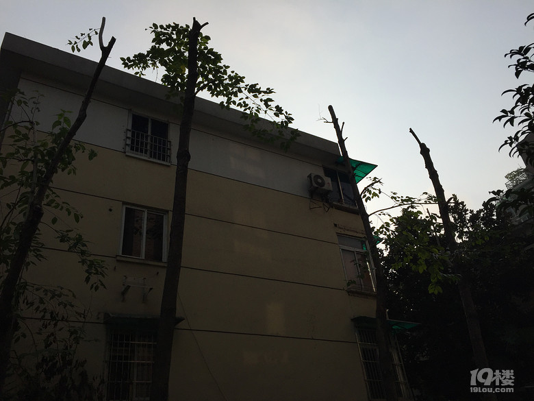174345dx7lr1841nw81jz8.jpg